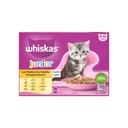 Whiskas Pouch 12x85g Poultry Junior