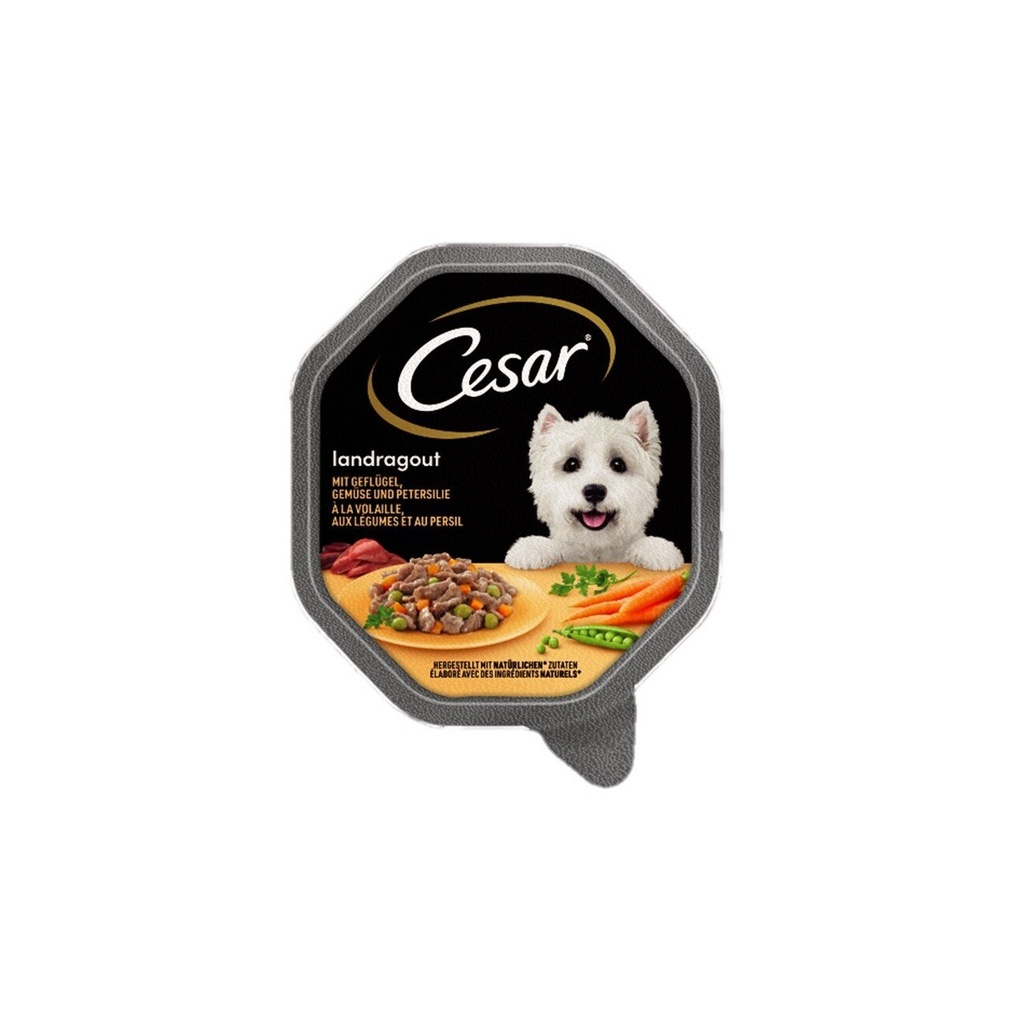 Cesar Wholesome Bowl Volaille 85g
