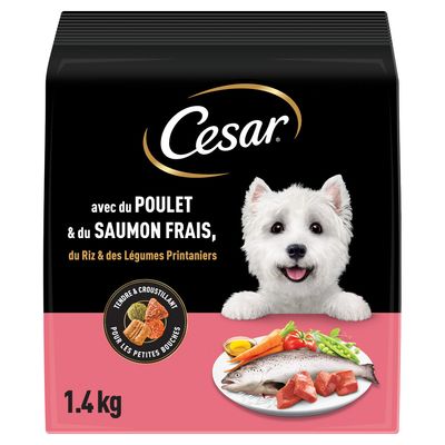 Cesar DRY Adult 1,4kg S Dog