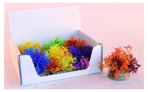 CORAL REEF H:8cm SCALARE