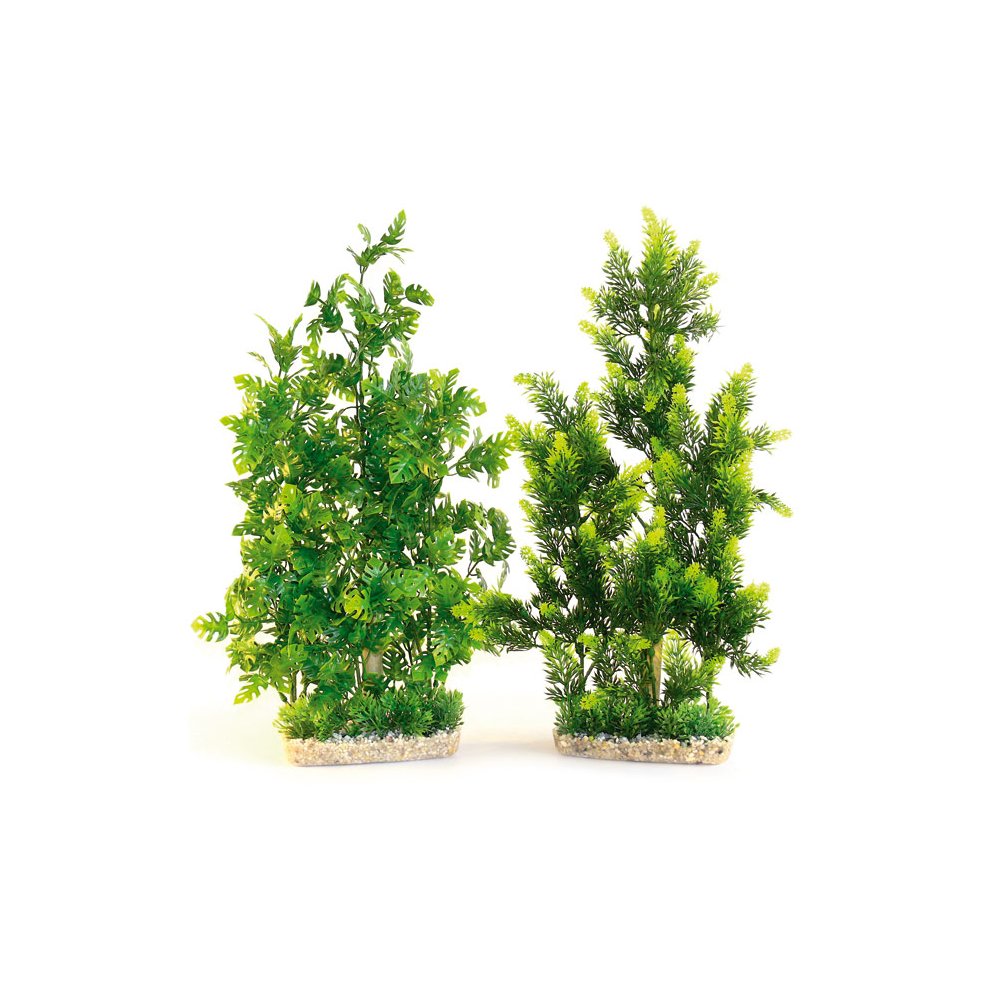 AQUAPLANT GIANT  H:46cm SCALARE