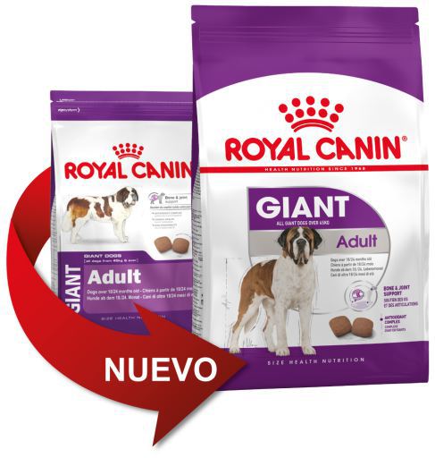 SHN Giant Adult 15kg + 3 kg