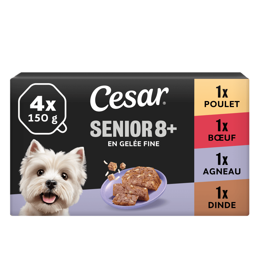 Cesar Tray Senior 8p