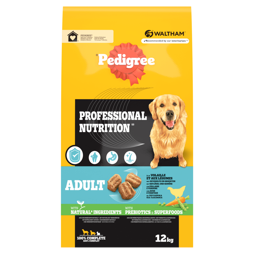 Pedigree Dry 12kg Large Dog