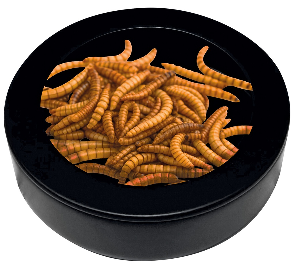 [AQDI_R3100137] REPTO DECO WORM DISH