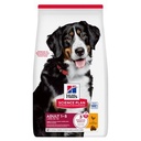 Hill's Science Plan - Adult Large with Chicken 2,5kg