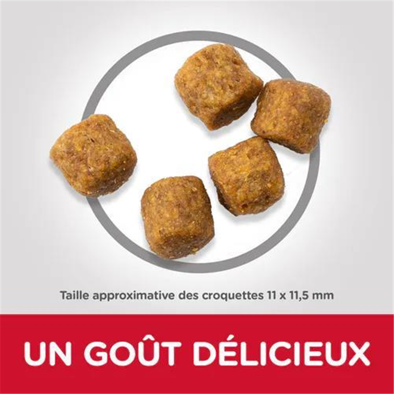 [HILL_604288] Hill's Science Plan - Mature Adult 7+ Medium with Lamb&Rice 12kg