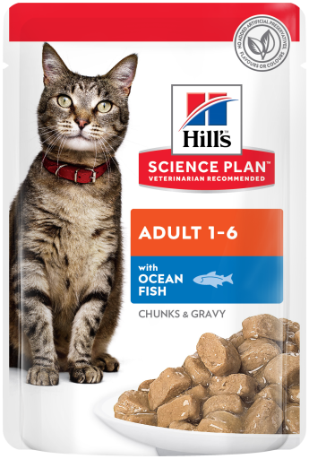Hill's Science Plan - Adult with Ocean Fish 85g