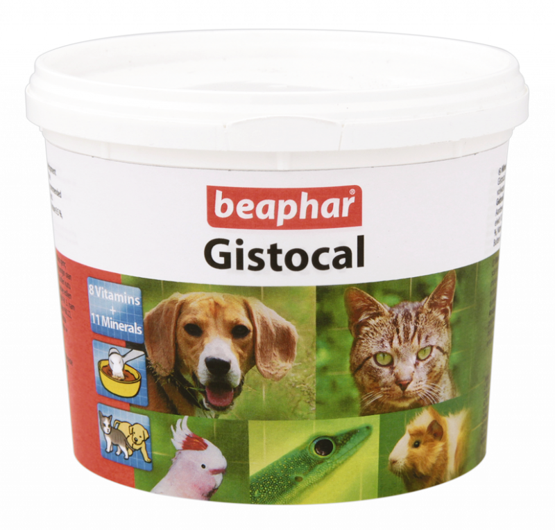 Gistocal 500g