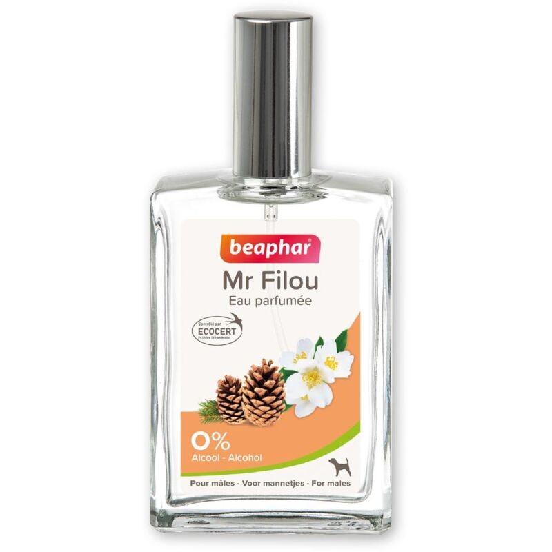 Parfum Mr Filou Mâles 50ml