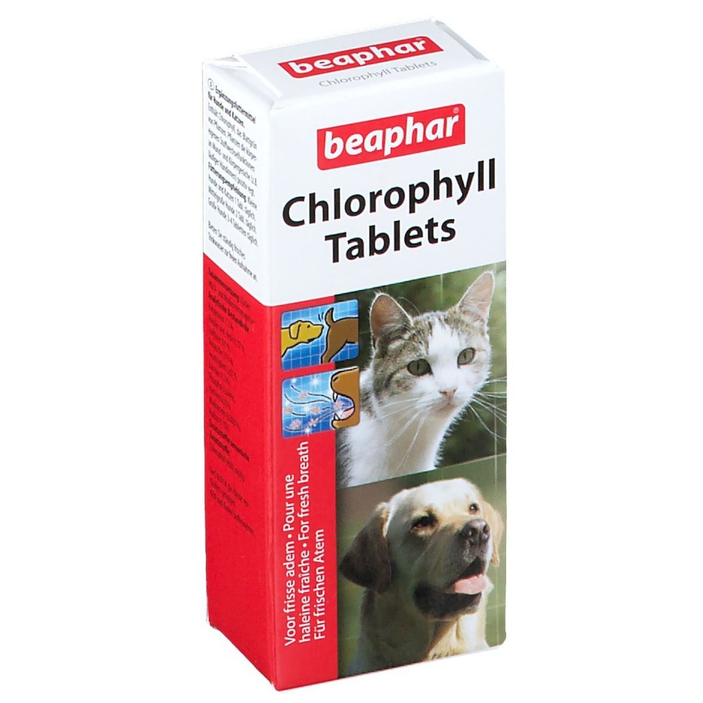 Chlorophyll Tablets 30pc