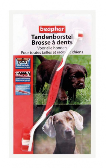 Brosse À Dents - OUT --> 1000483