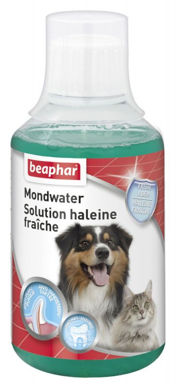 Solution Haleine Fraîche 250ml