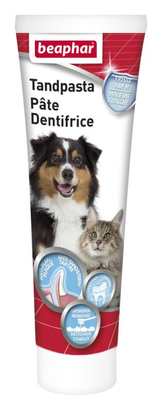 [BEAP_16010] Dentifrice Classique 100g