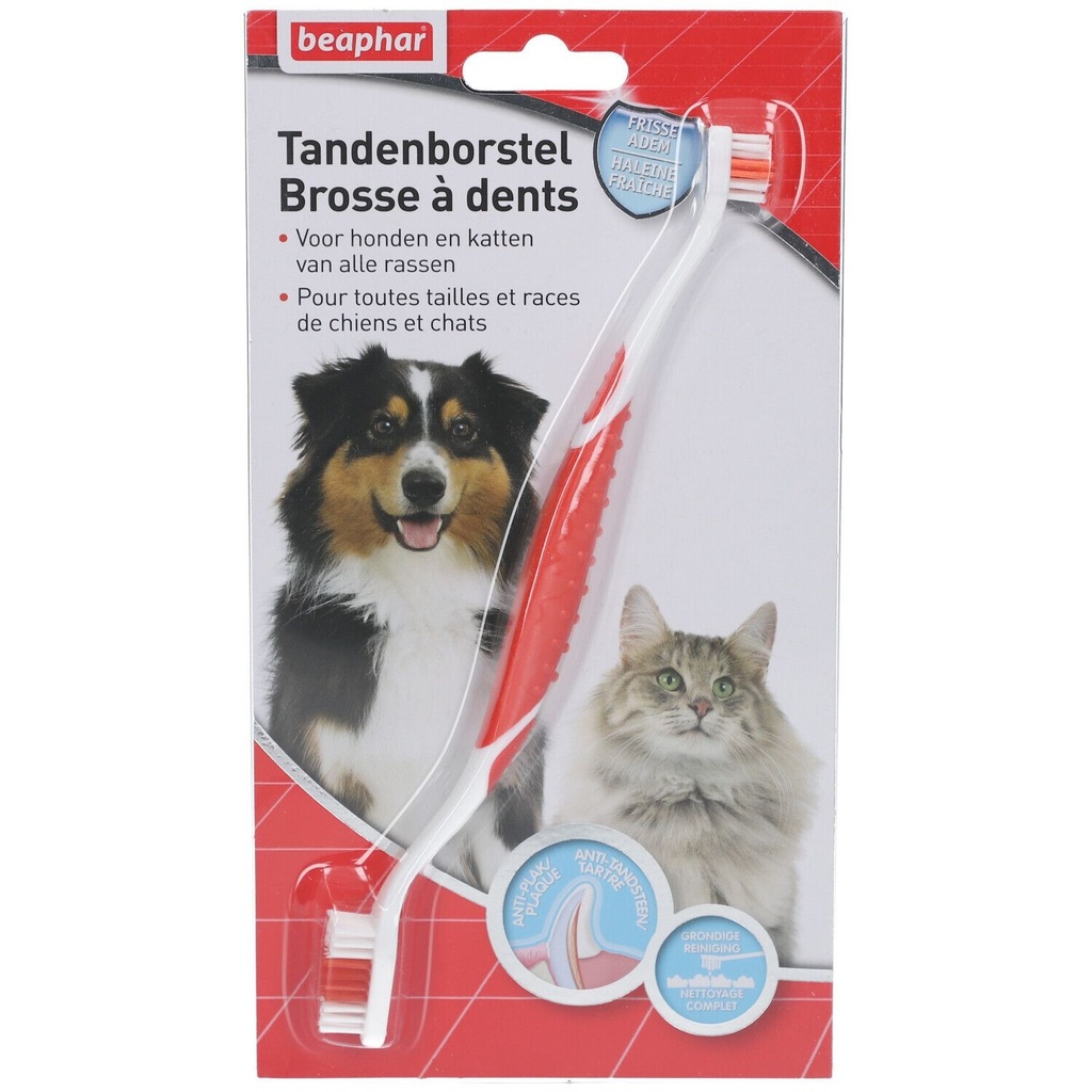 Brosse à dents