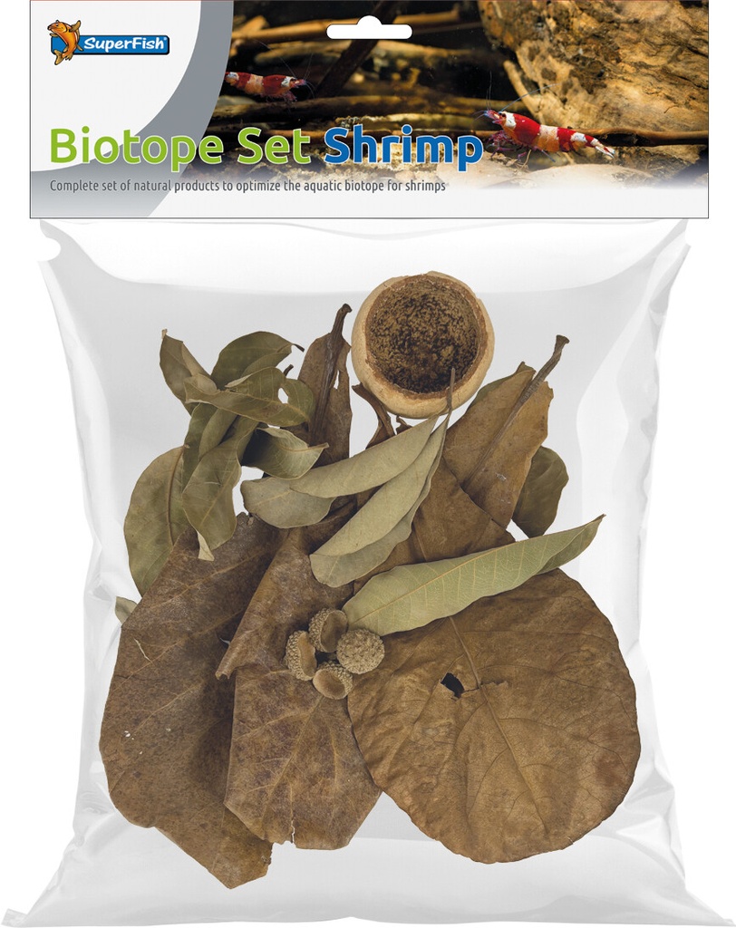 [AQDI_A4080470] SF BIOTOPE SET CREVETTE