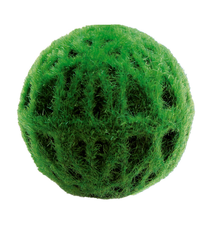 SF CLEAN BALL