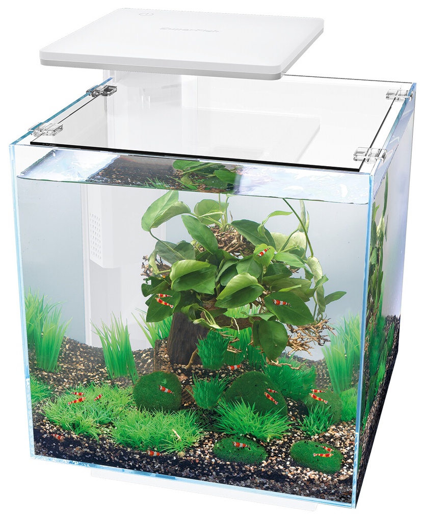 SF QUBIQ 30 PRO BLANC