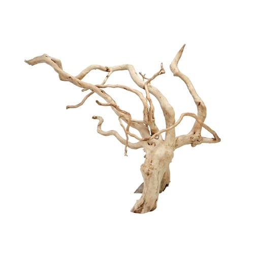 [SMUL_0021254] HS AQUA SPIDER WOOD L 41-50 CM PAR PIÈCE