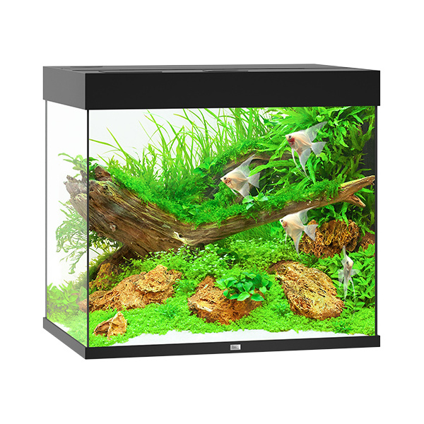 [SMUL_00061050] JUWEL AQUARIUM LIDO 200 NOIR LED