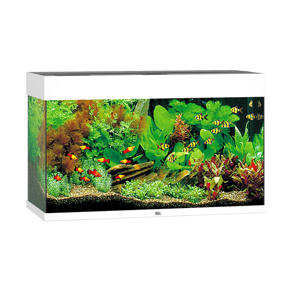 [SMUL_00060012] JUWEL AQUARIUM RIO 125 BLANCHE LED