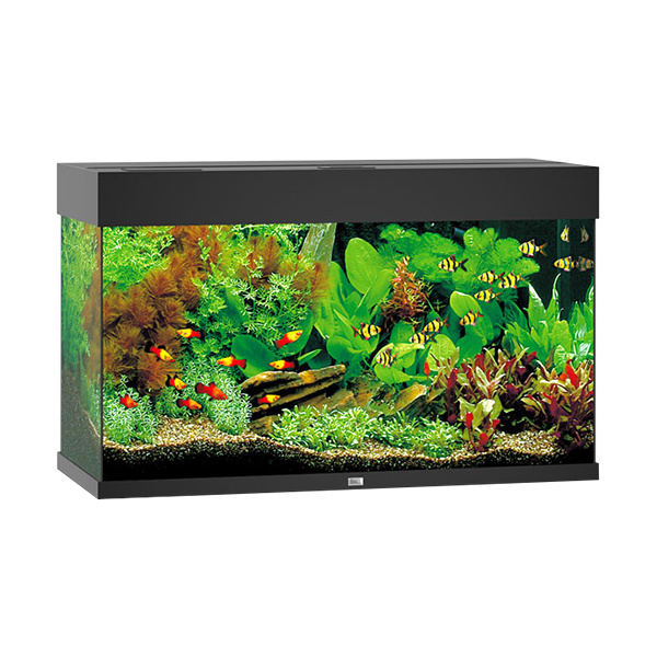 [SMUL_00060000] JUWEL AQUARIUM RIO 125 NOIR LED