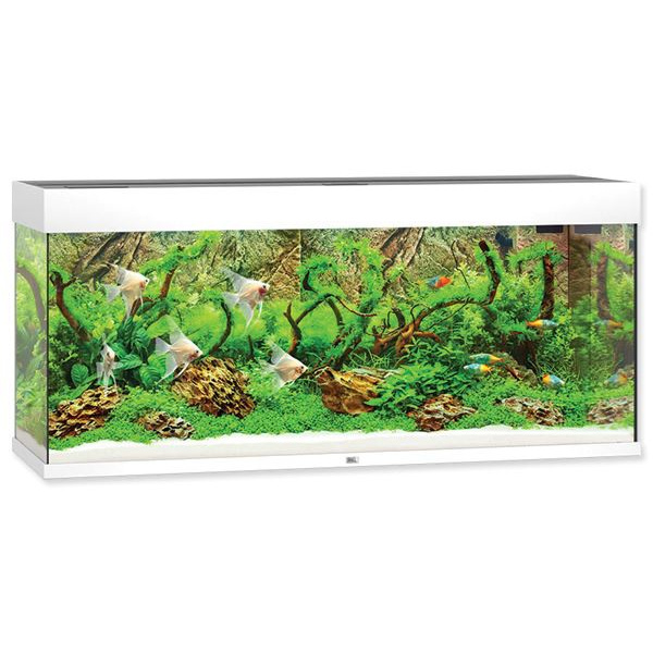 [SMUL_00060064] JUWEL AQUARIUM RIO 240 BLANCHE LED