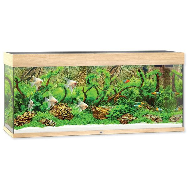 [SMUL_00060071] JUWEL AQUARIUM RIO 240 NOYER CLAIR LED