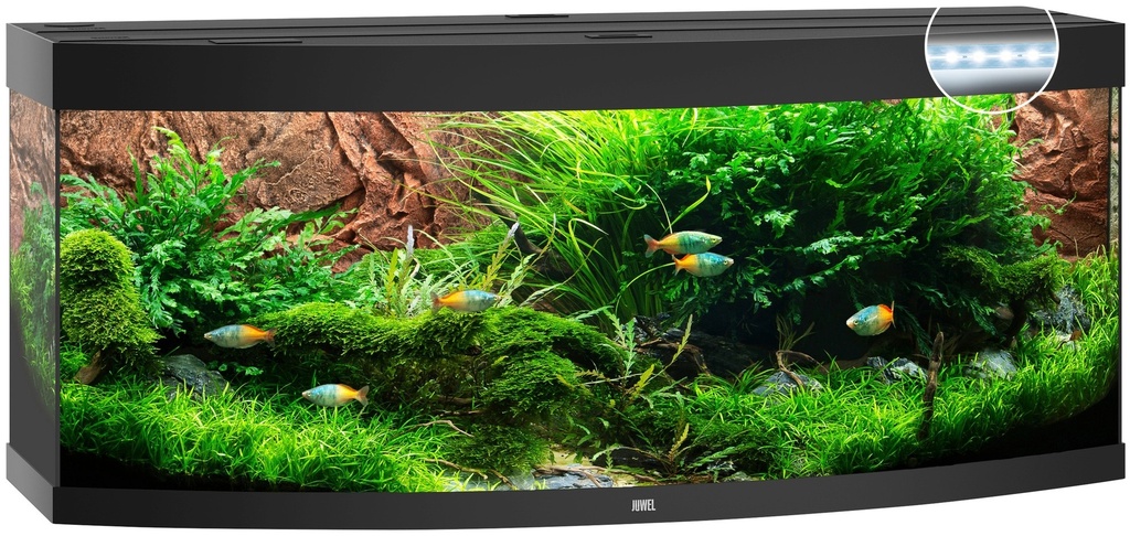 [SMUL_00061000] JUWEL AQUARIUM VISION 450 NOIR LED