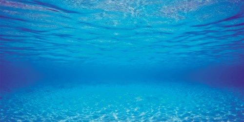 [SMUL_0006656] JUWEL POSTER2 S 60X30 DOUBLE FACE BLEU