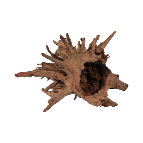 HS AQUA CORBO-ROOT LARGE 40-60 CM PAR PIÈCE
