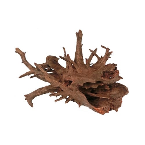HS AQUA CORBO-ROOT SMALL 20-30 CM PAR PIÈCE