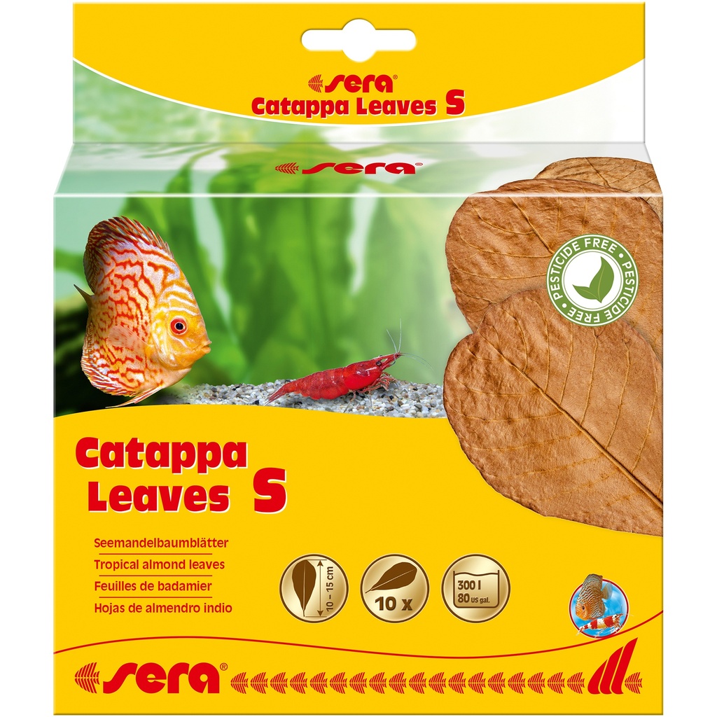 sera Catappa Leaves S 10-15 cm (10pces)
