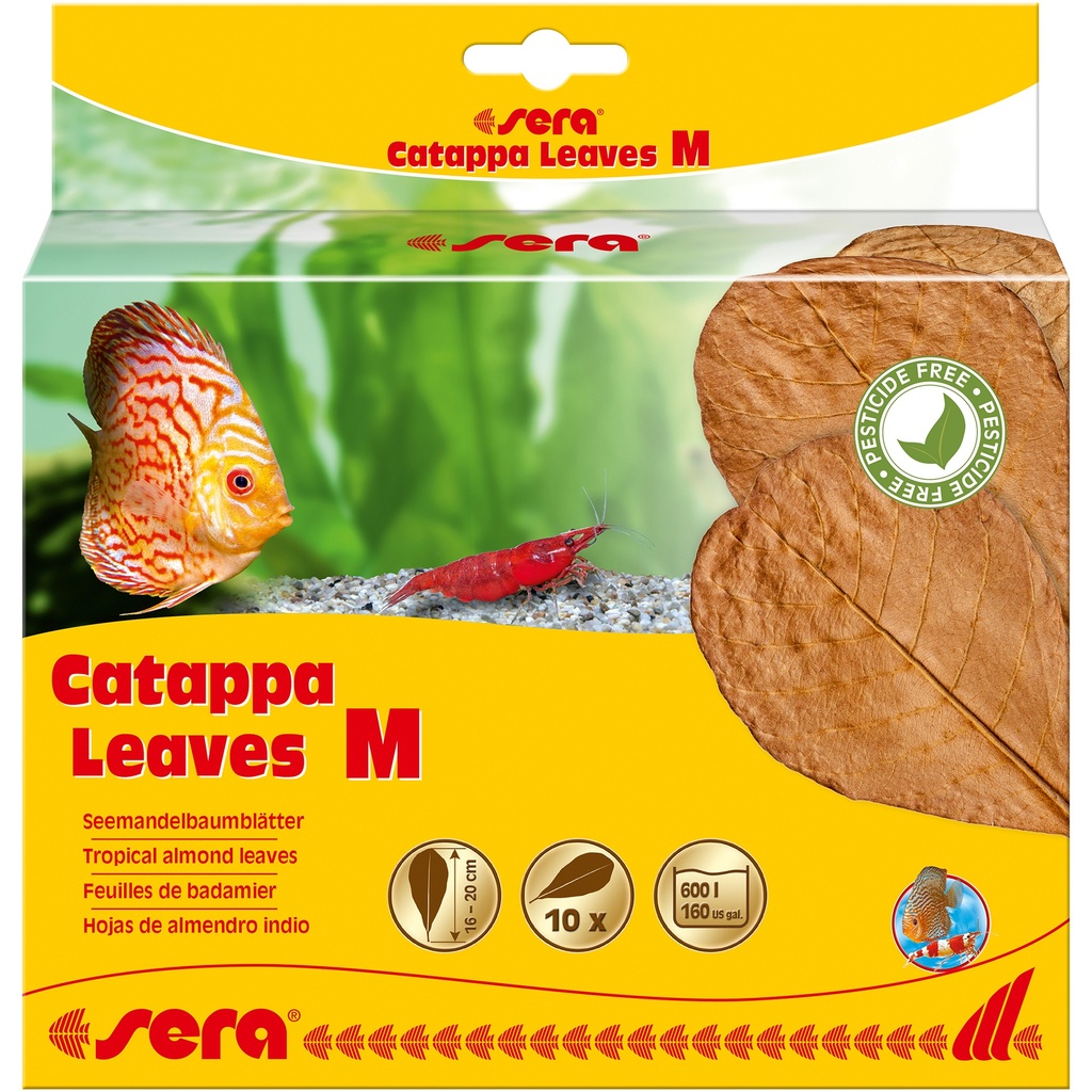 sera Catappa Leaves M 16-20 cm (10pces)
