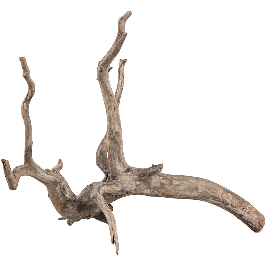 sera Scaper Root XS 18 - 20 cm