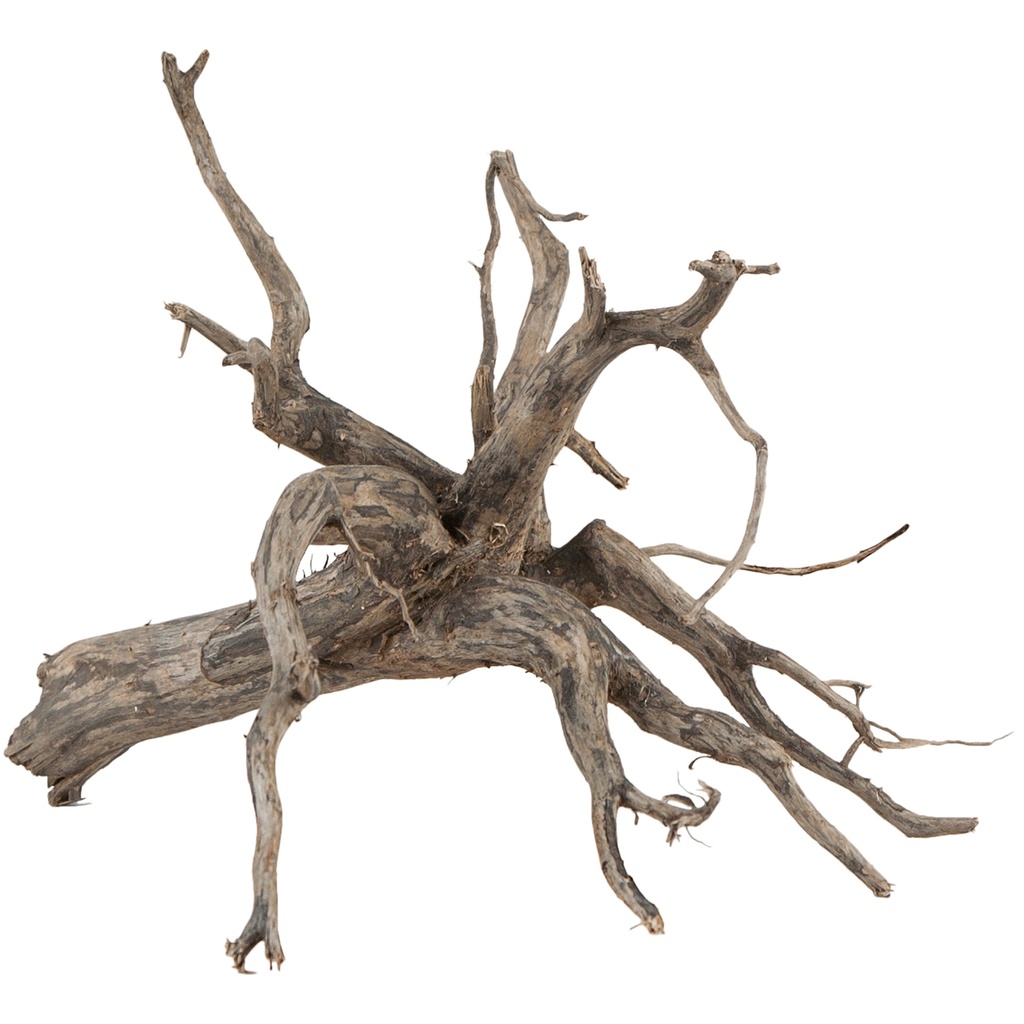 [SERA_32360_45938] sera Scaper Root M 30 - 35 cm