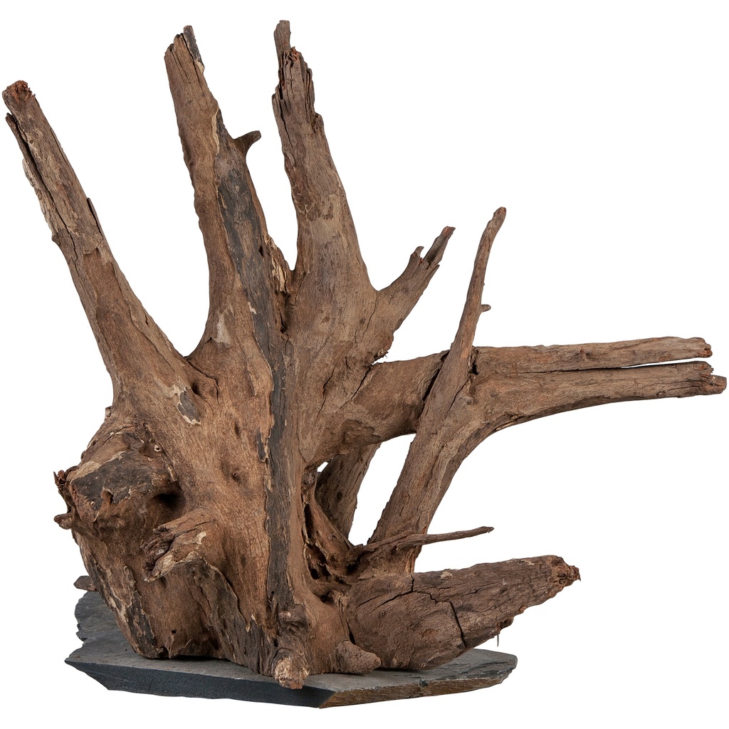 sera Scaper Wood M 18 - 20 cm