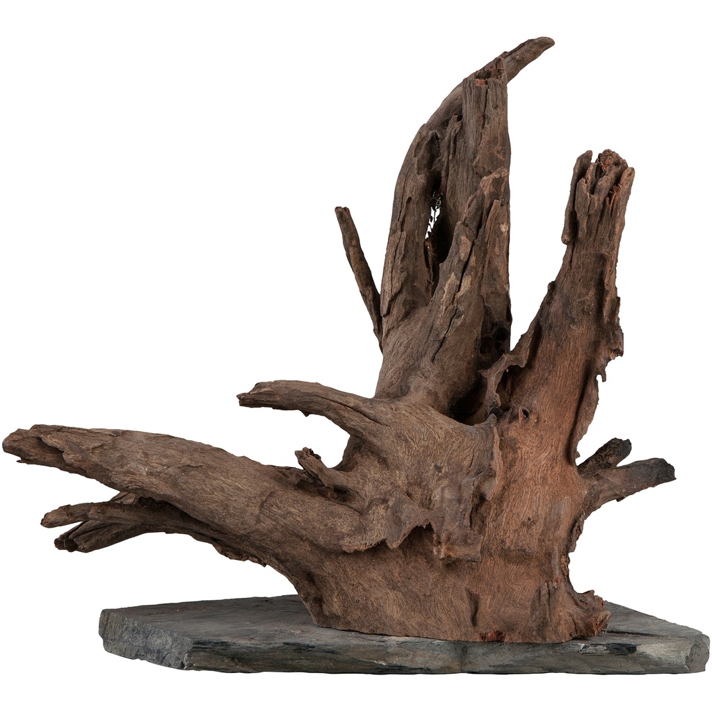sera Scaper Wood L 30 - 35 cm