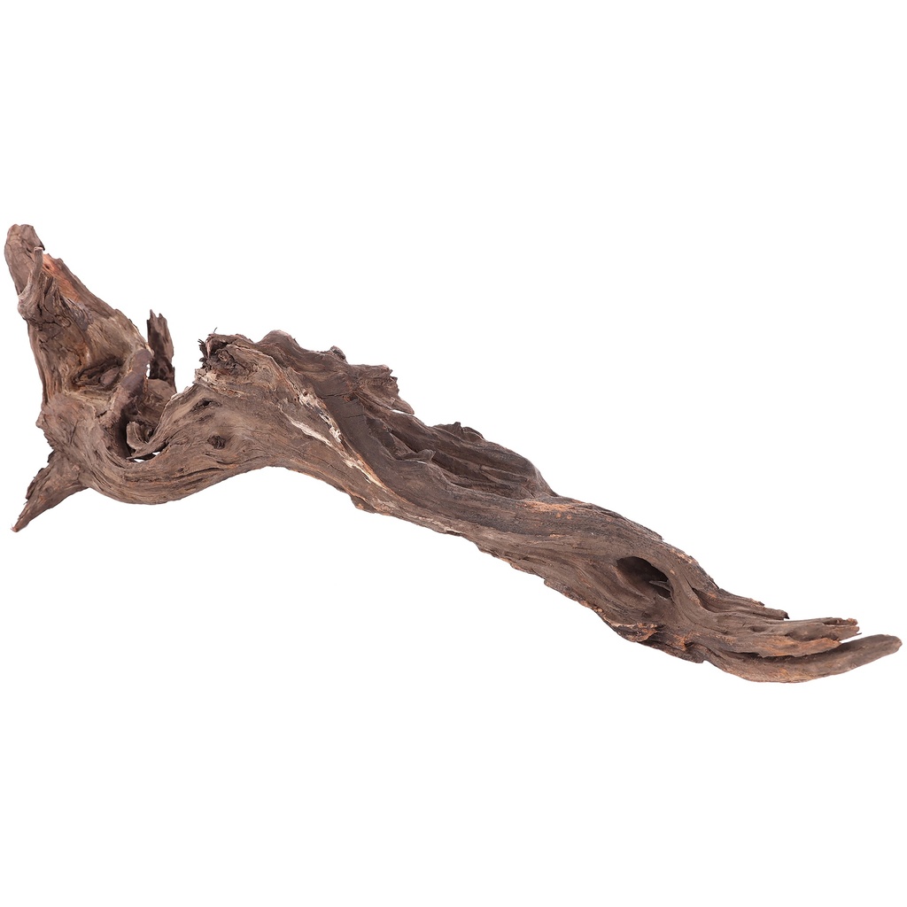 Drift Wood L 45-60 cm