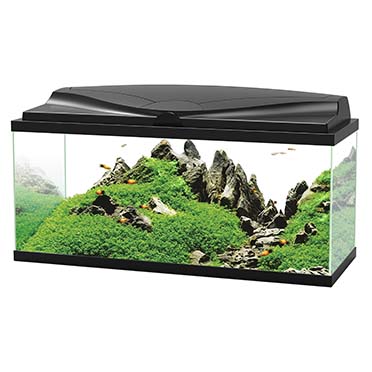 [LARO_77540224] Ciano aquarium 80 led cf80 80x30x41,5cm noir