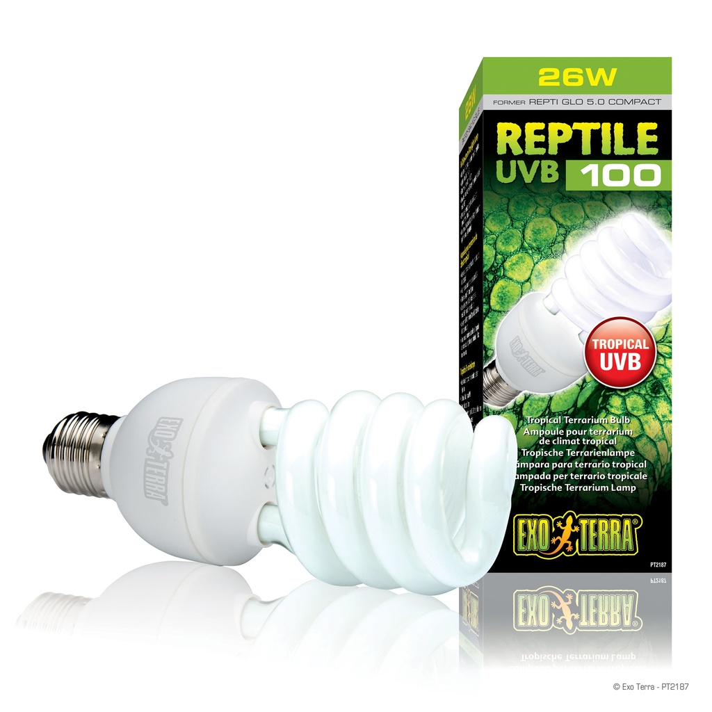[LARO_33/PT2187] Exo Terra EX reptile uvb100 fluocompact 26W - 6,5x6,5x19,5cm