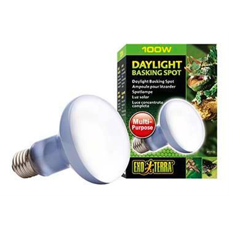 [LARO_33/PT2195] Exo Terra EX lampe daylight basking spot 25W - 6,5x6,5x10cm