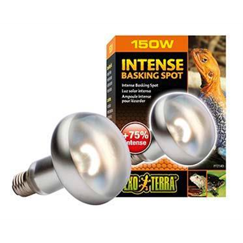 Exo Terra EX lampe intense basking spot 25W - 6,5x6,5x10cm