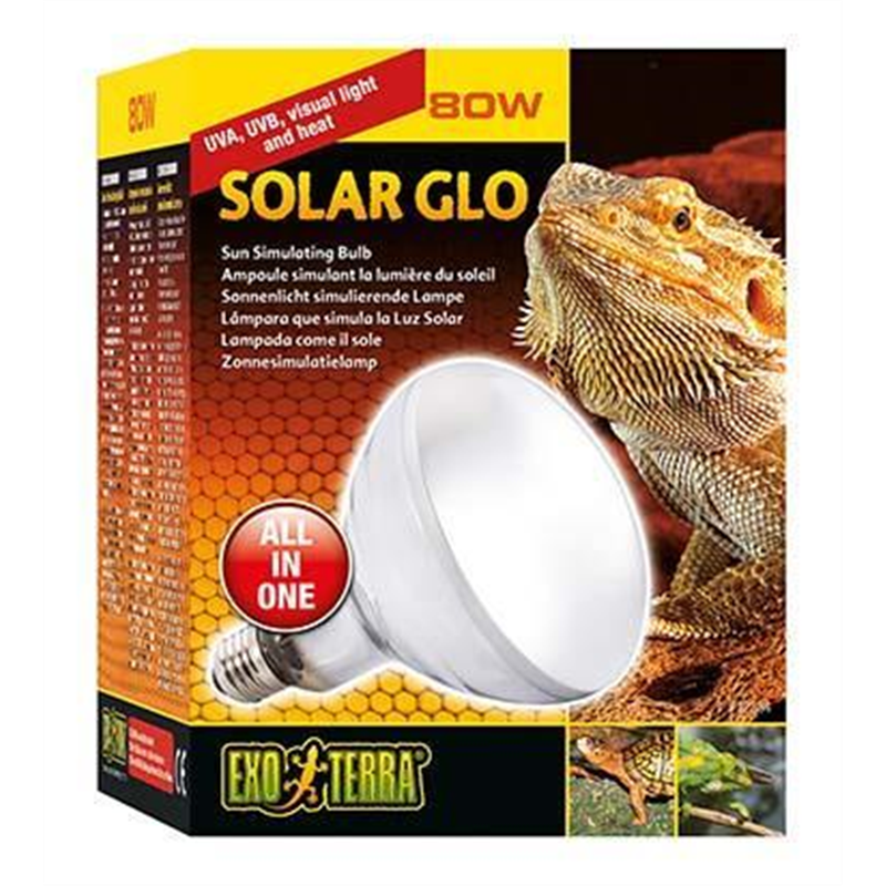[LARO_33/PT2334] Exo Terra EX solar glo ampoule simulant la lumière 80w 12,5x12,5x16,5cm