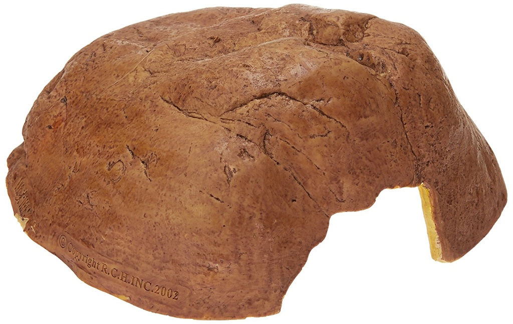 [LARO_33/PT2934] Exo Terra EX caverne reptile XXL - 30x32x14cm