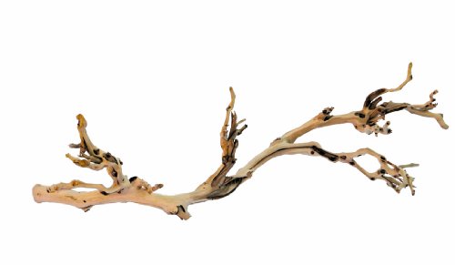 [LARO_33/PT3077] Exo Terra EX pied de vigne sablé L/60CM