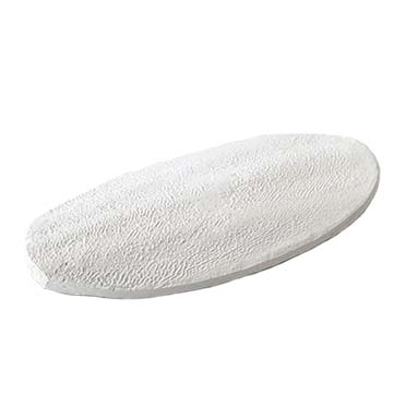 Terra Della Calcium bone sepia 2st - 11cm blanc