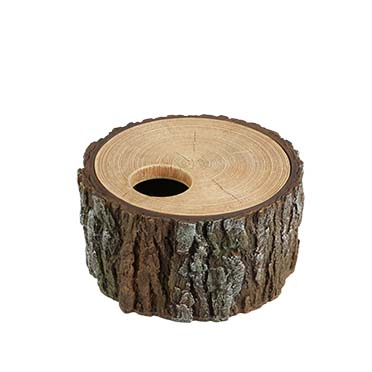 Terra Della Abri pour reptiles arbre S - 15,5x15x8cm brun
