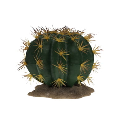 Terra Della Echinocactus 1 16,5x15,5x14cm vert