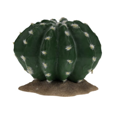 Terra Della Echinocactus 2 16,5x15,5x13cm vert